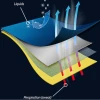 Membrane Membrane