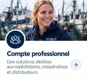 Solutions grands comptes Une plateforme d&eacute;di&eacute;e pour les professionnels